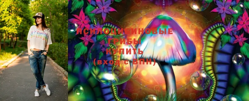 дарнет шоп  маркетплейс состав  Галлюциногенные грибы Psilocybe  Венёв  мега зеркало 